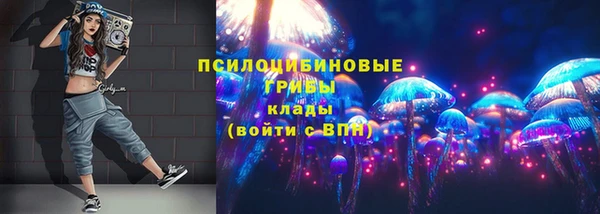эйфоретик Вязьма